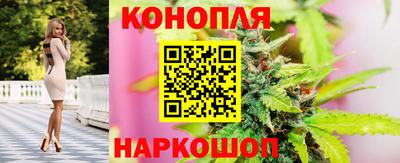 спиды Заводоуковск