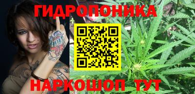 спиды Заводоуковск