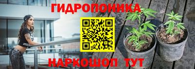 спиды Заводоуковск