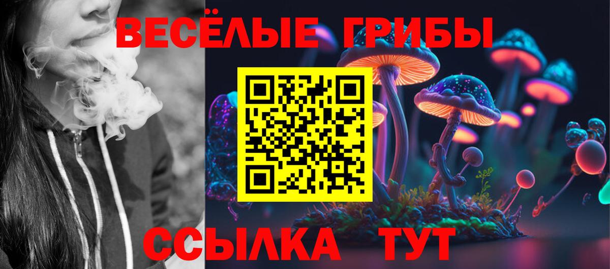 Кострома  Галлюциногенные грибы ЛСД  Вход с VPN 
